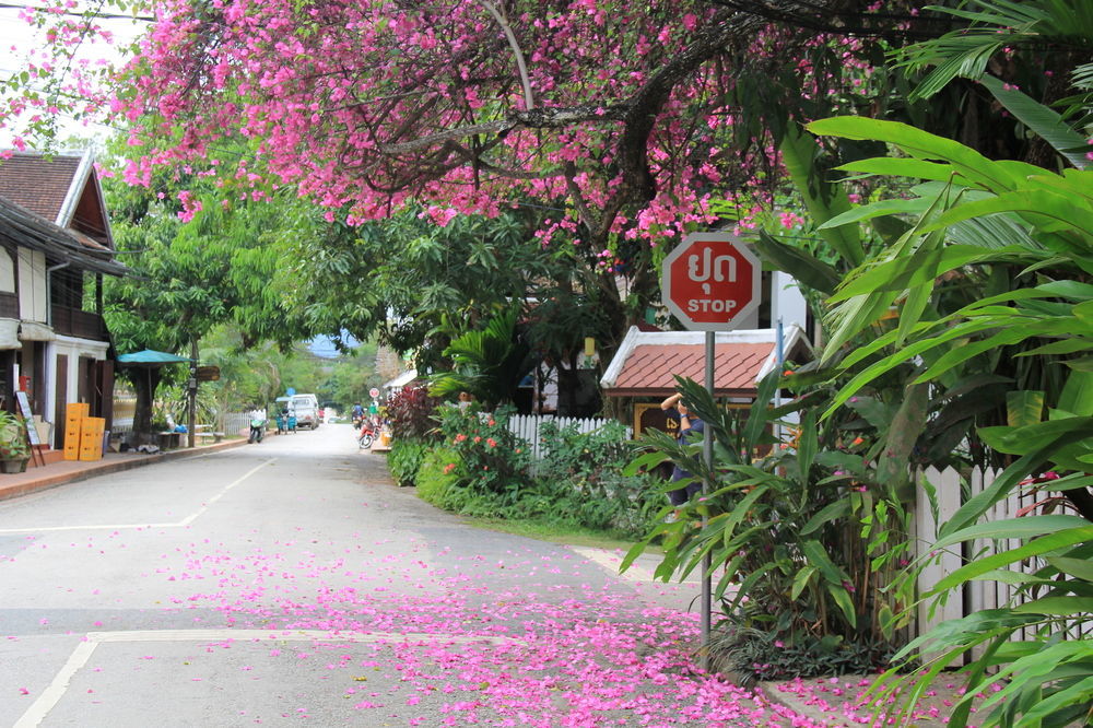 Wisdom Laos Hotel Luangprabang Kültér fotó